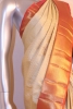 Traditional Kanchipuram Silk Saree